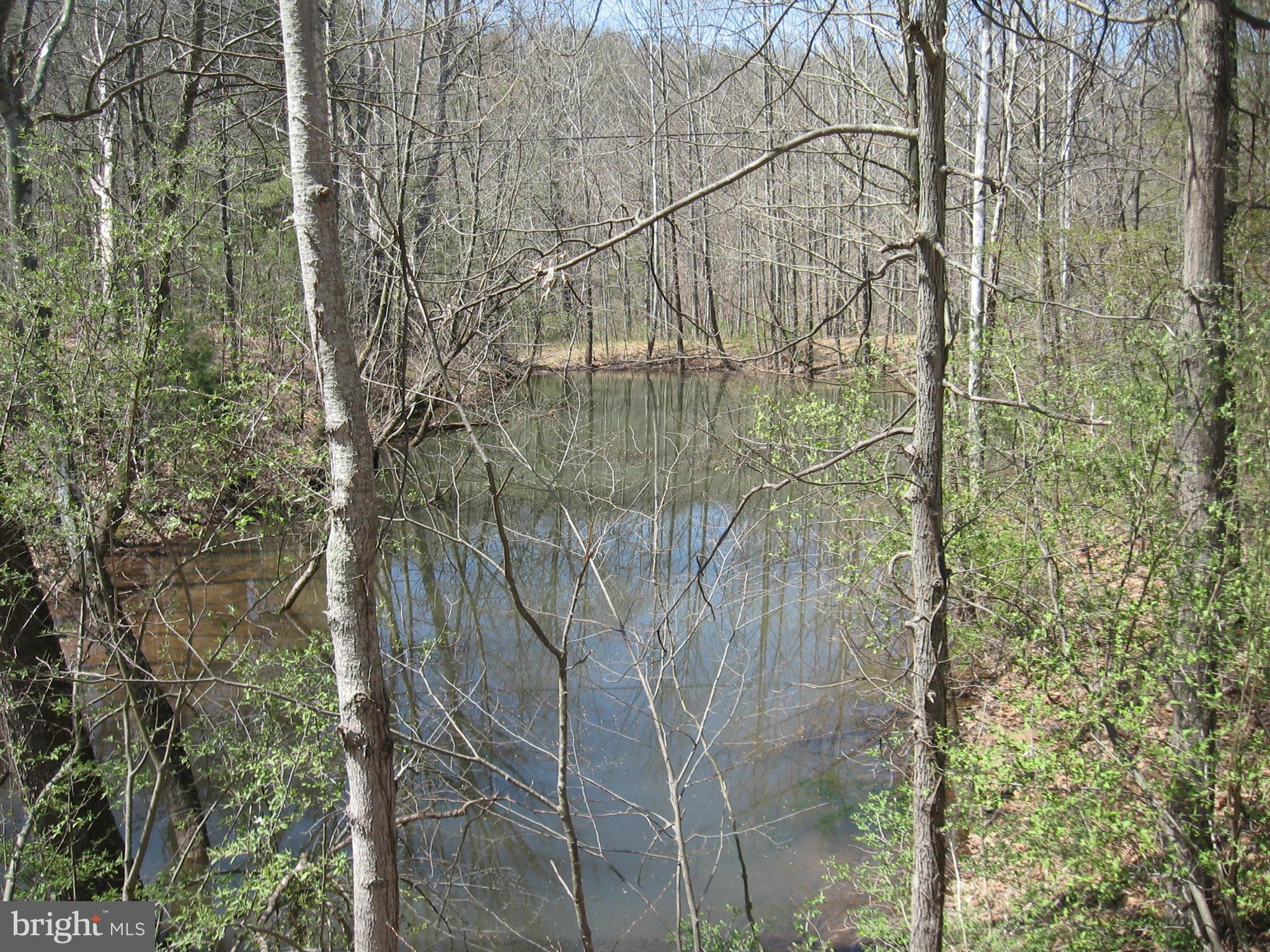 944 Mountain Run Road Berkeley Springs, WV 25411 - Photo 23 of 26 View