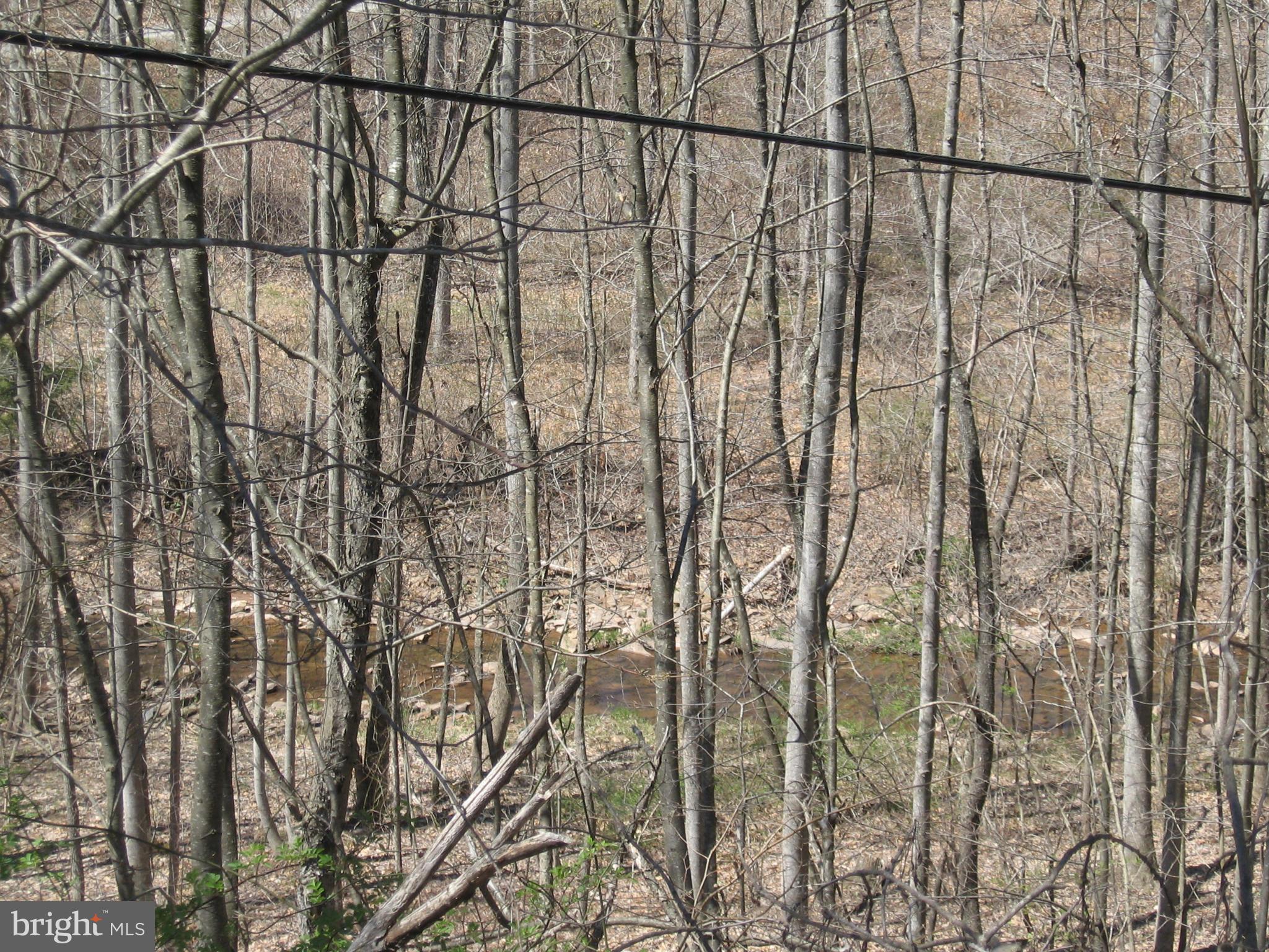 944 Mountain Run Road Berkeley Springs, WV 25411 - Photo 24 of 26 View