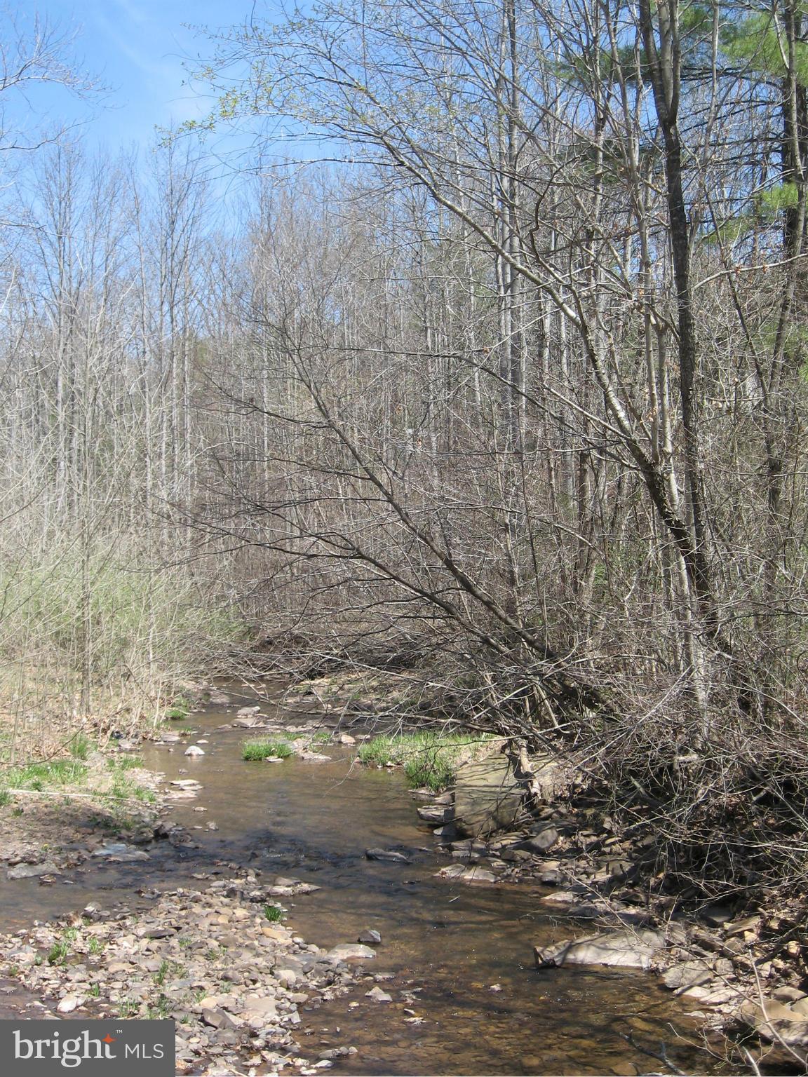 944 Mountain Run Road Berkeley Springs, WV 25411 - Photo 25 of 26 View