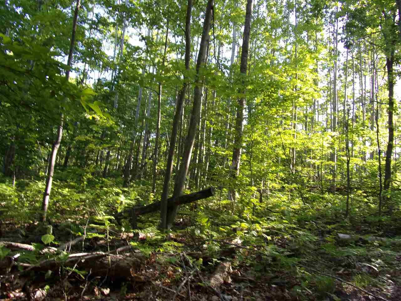 0 South Seeley Road McBain, MI 49657 - Photo 11 of 23 Gallery Image 11