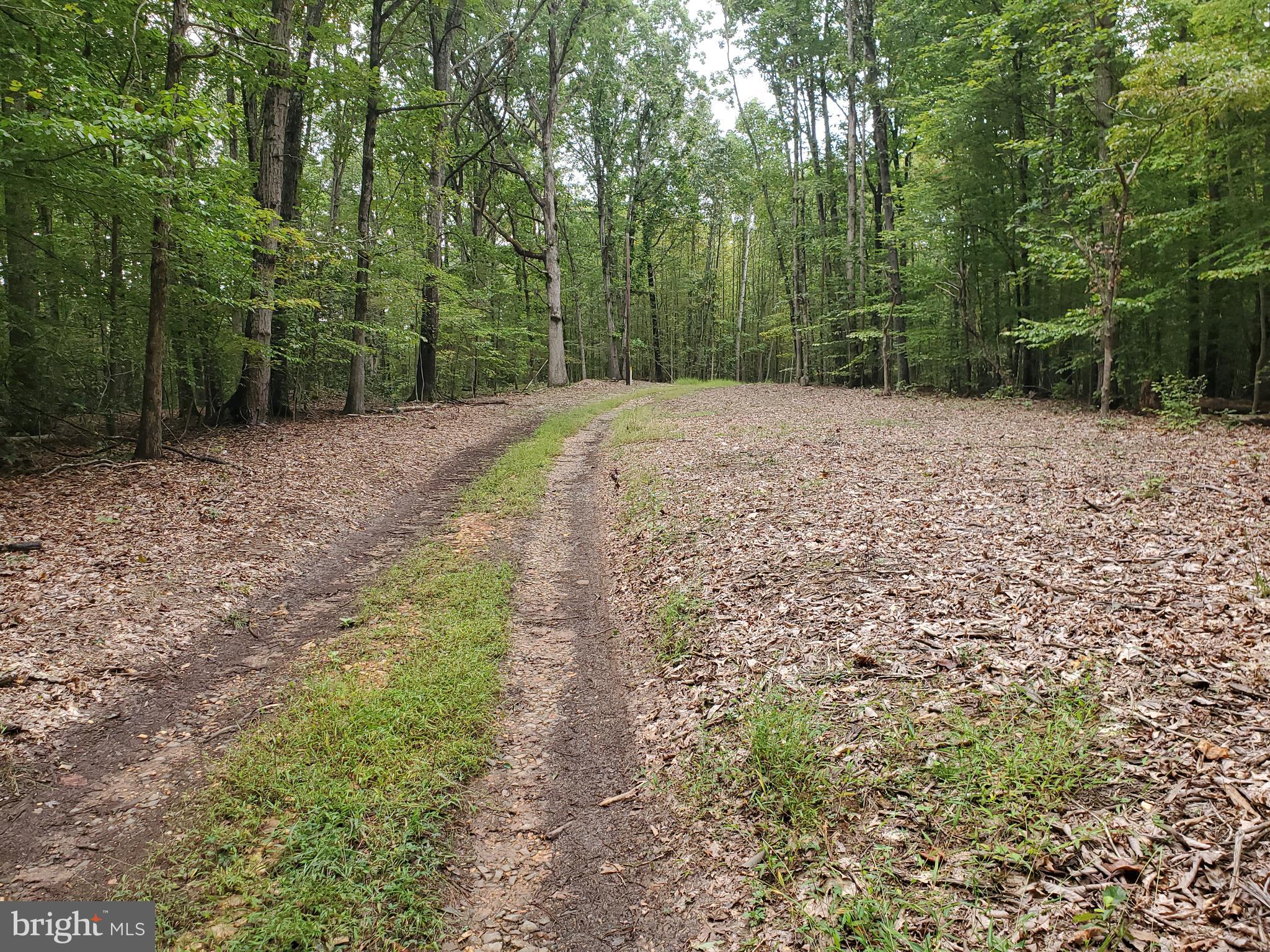 146 Storck Road Fredericksburg, VA 22406 - Photo 11 of 20 Gallery Image 11