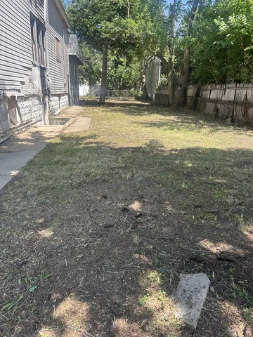 a view of a yard with a tree