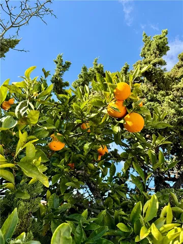 $5,000 | 3632 Myrtle Street, Irvine, CA 92606