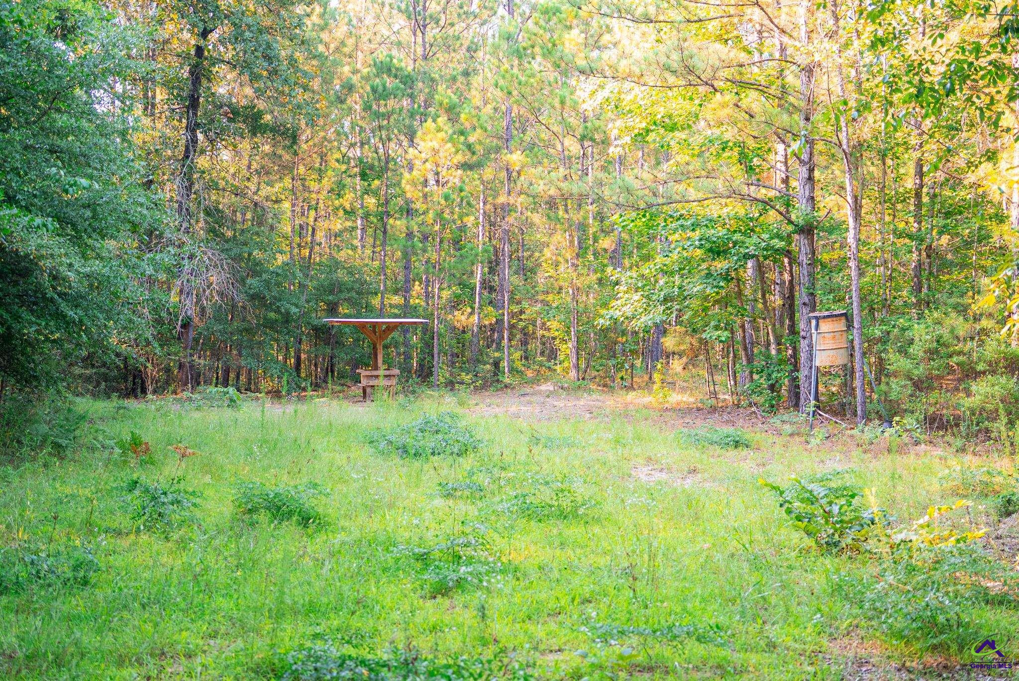 Southland Road Butler, GA 31006 - Photo 60 of 68