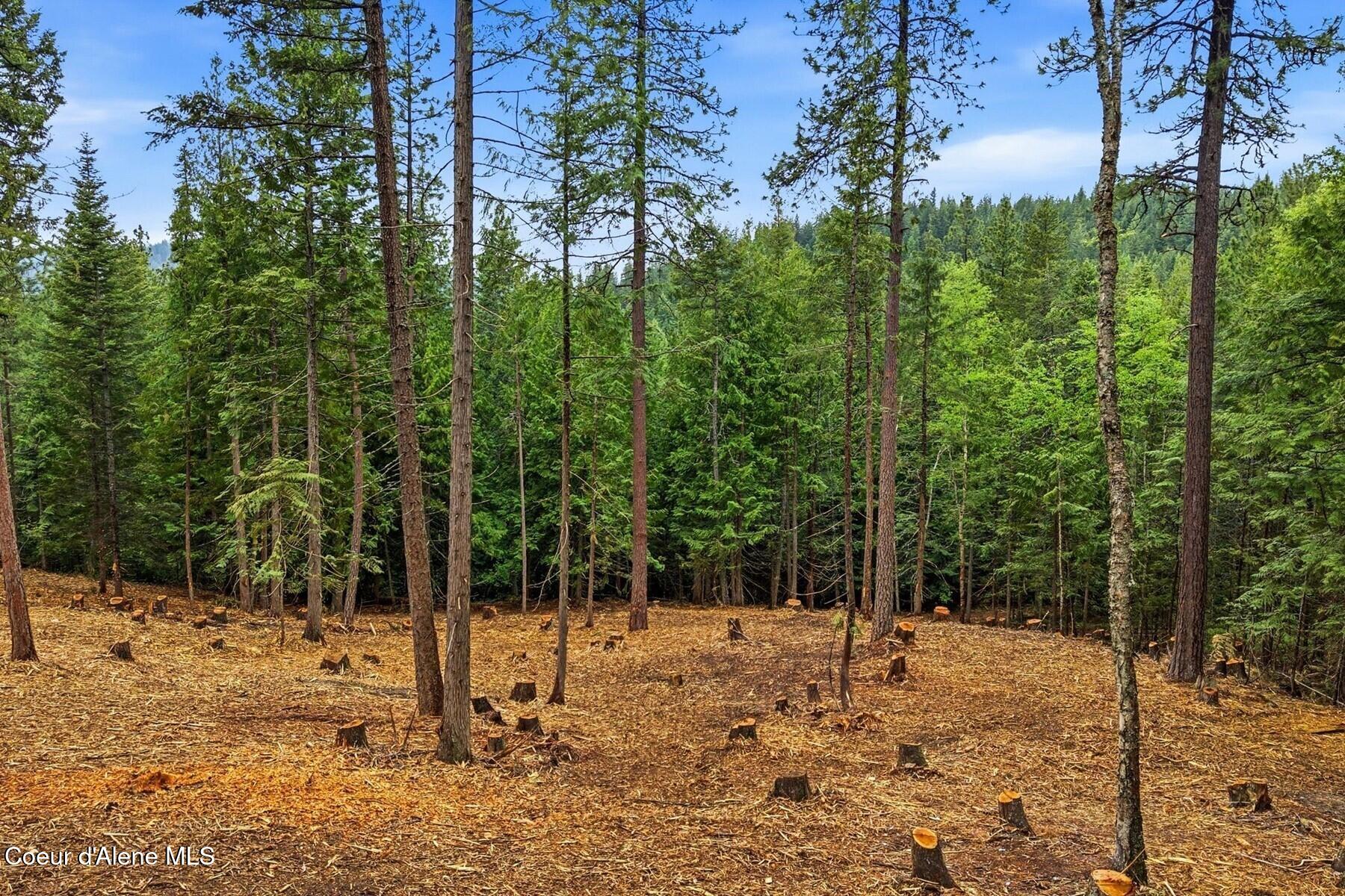 Nna Cedar Ridge Road Sandpoint, ID 83864 - Photo 13 of 30 12