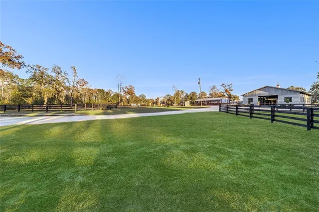 a view of a garden with lawn chairs