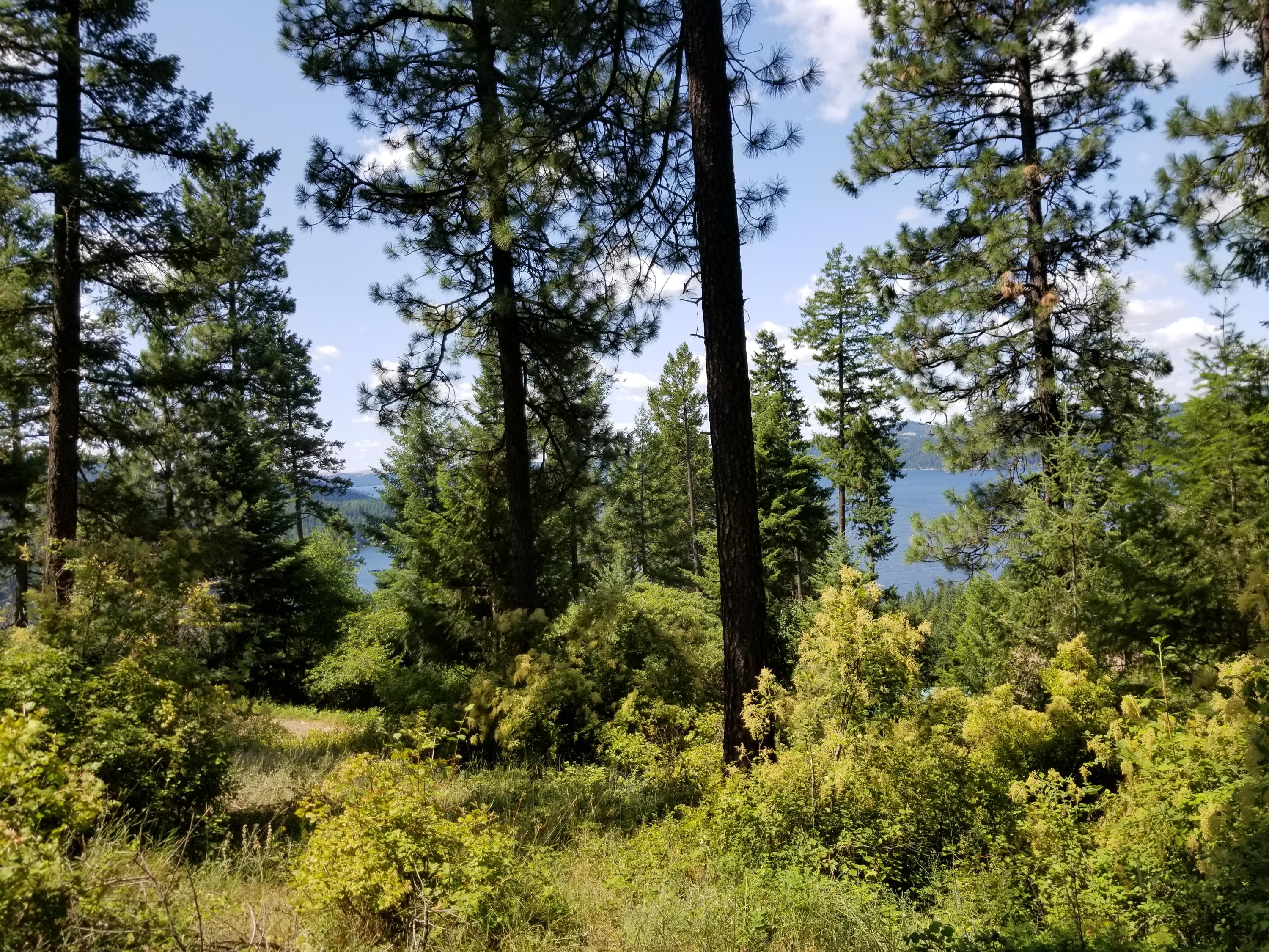 Nna South Nna S Hanson Road Harrison, ID 83833 - Photo 1 of 1 20190719_112917