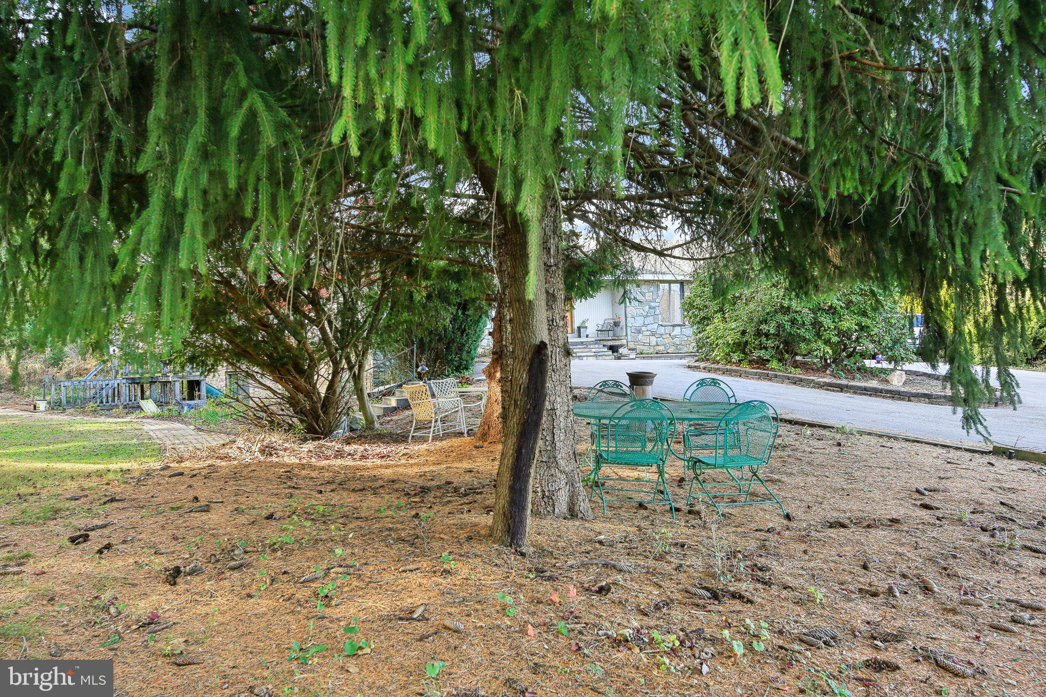 1170 Ridge Road Mount Airy, MD 21771 - Photo 6 of 16 a view of a yard with plants and trees