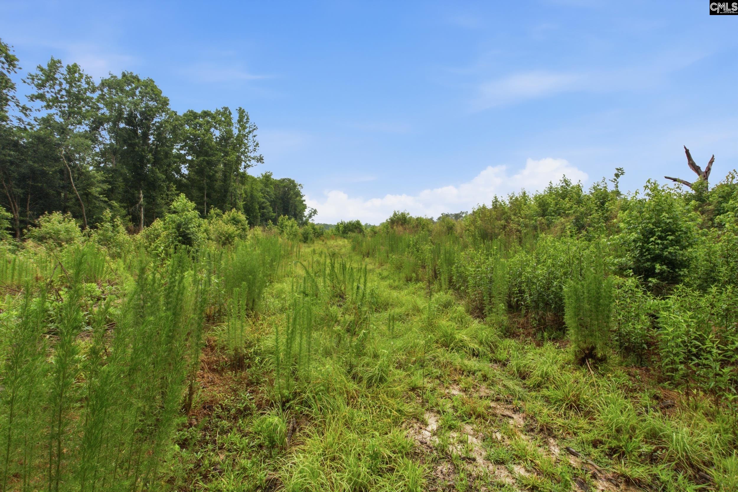 3390 State Rd S-28-496 Kershaw, SC 29067 - Photo 14 of 26