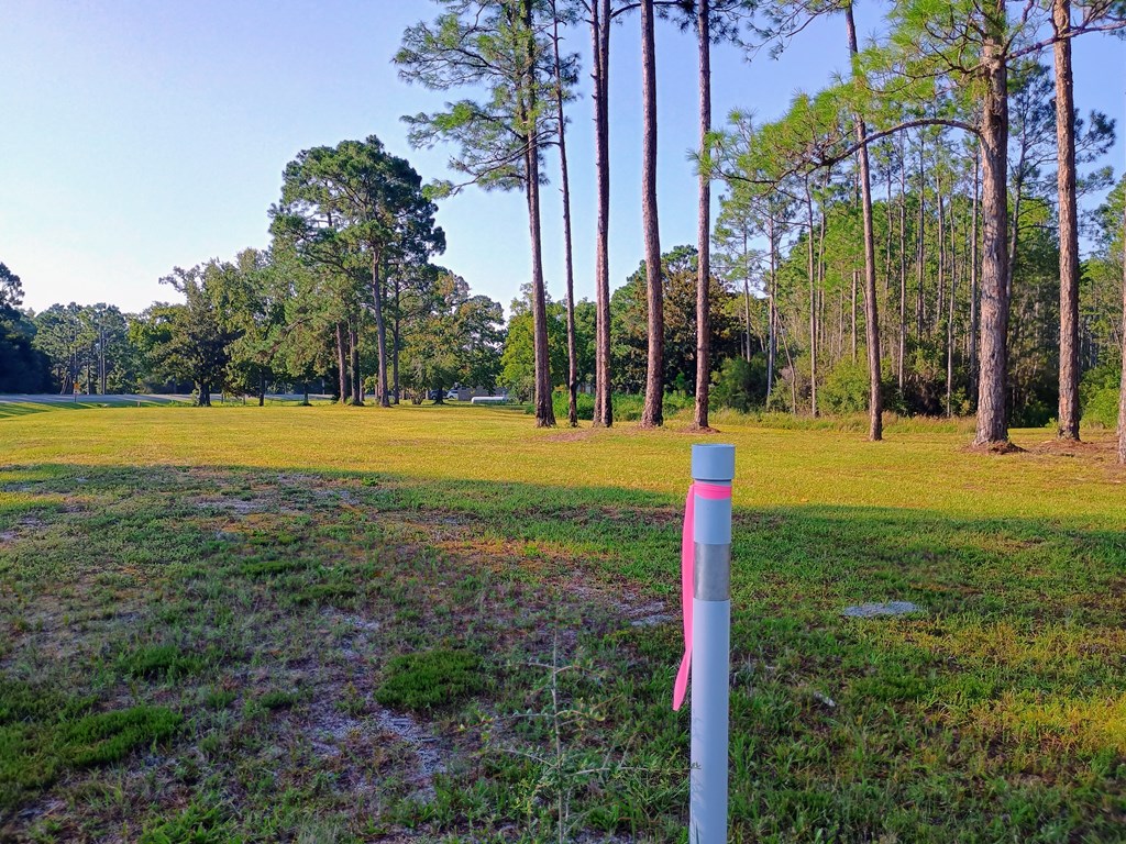 370 Mill Road Carrabelle, FL 32322 - Photo 11 of 34