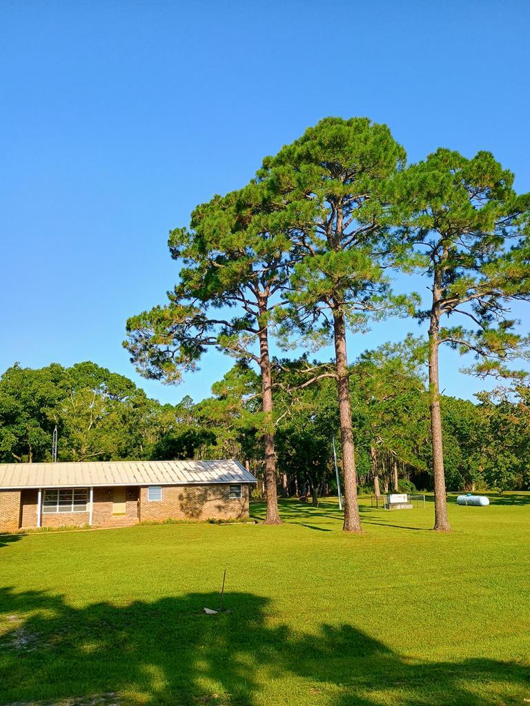 370 Mill Road Carrabelle, FL 32322 - Photo 3 of 34