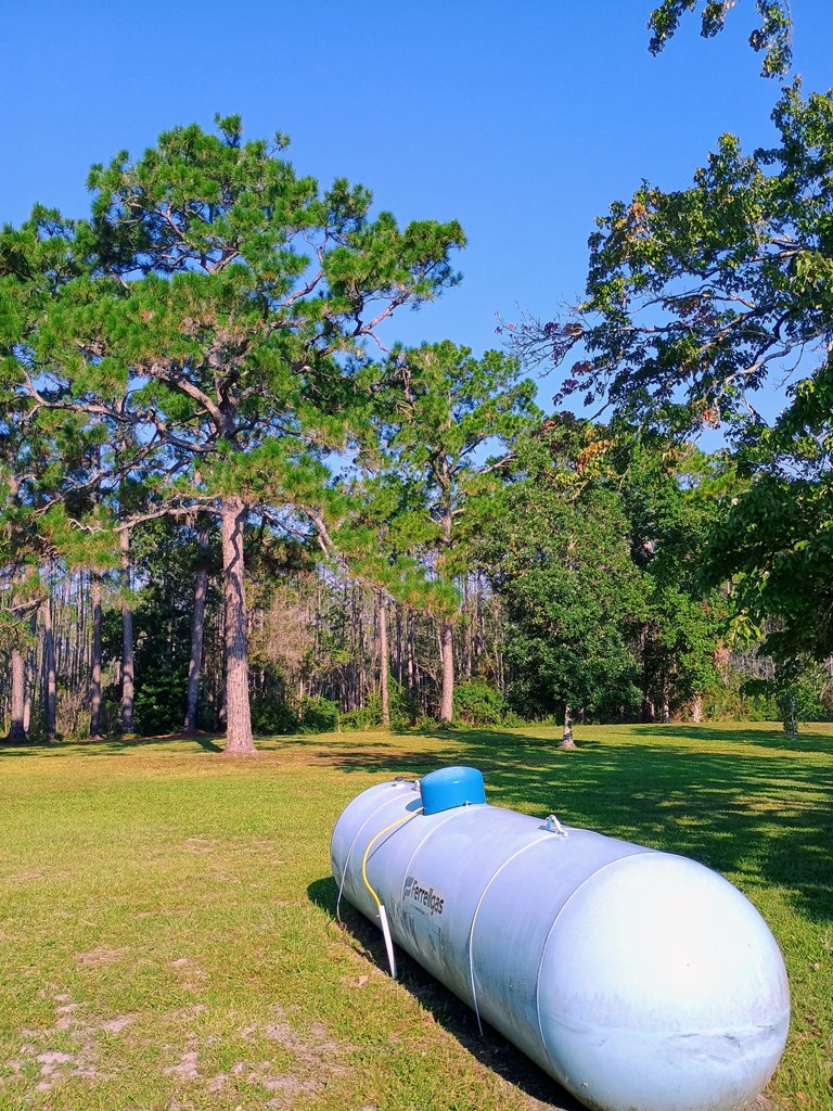 370 Mill Road Carrabelle, FL 32322 - Photo 31 of 34
