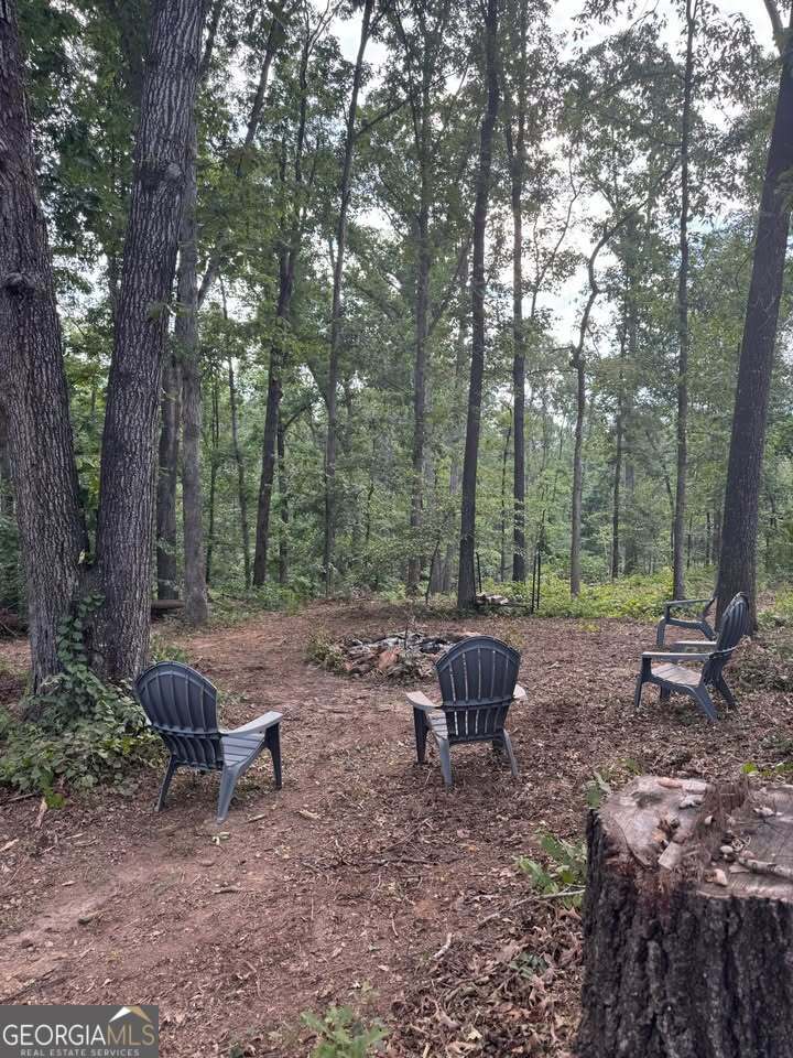 301 Norton Road Hartwell, GA 30643 - Photo 39 of 48
