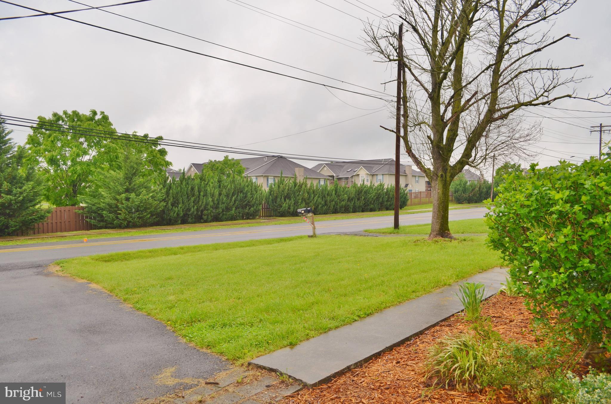 293 Valley Mill Road Winchester, VA 22602 - Photo 22 of 29 a view of a backyard with large trees