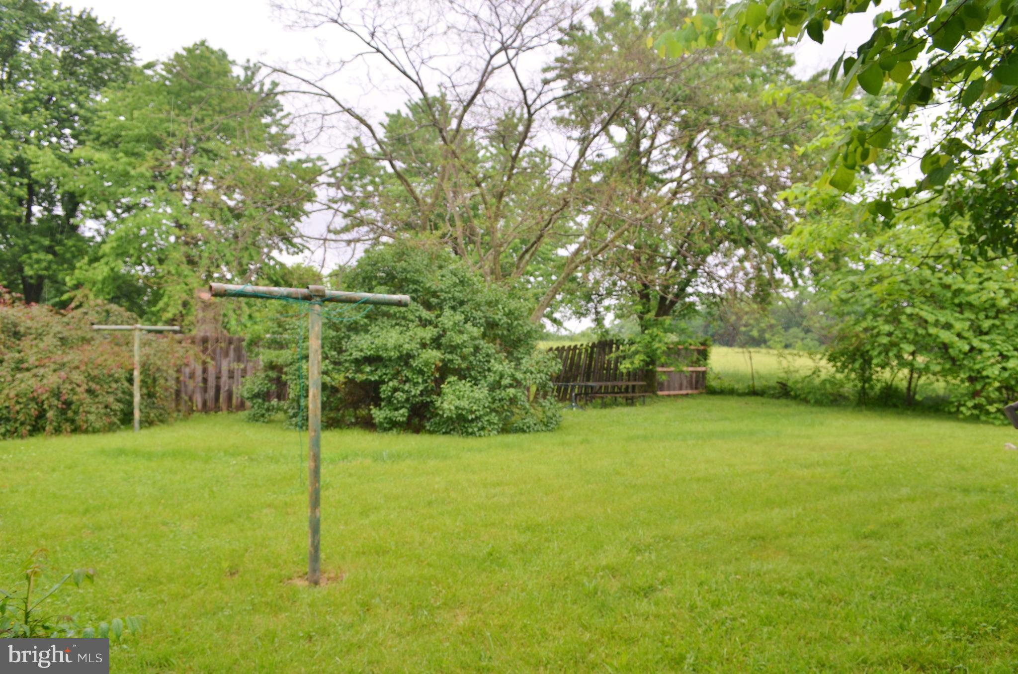 293 Valley Mill Road Winchester, VA 22602 - Photo 23 of 29 a view of a field with a tree
