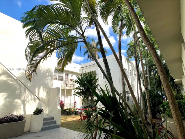 a view of a palm trees in a backyard