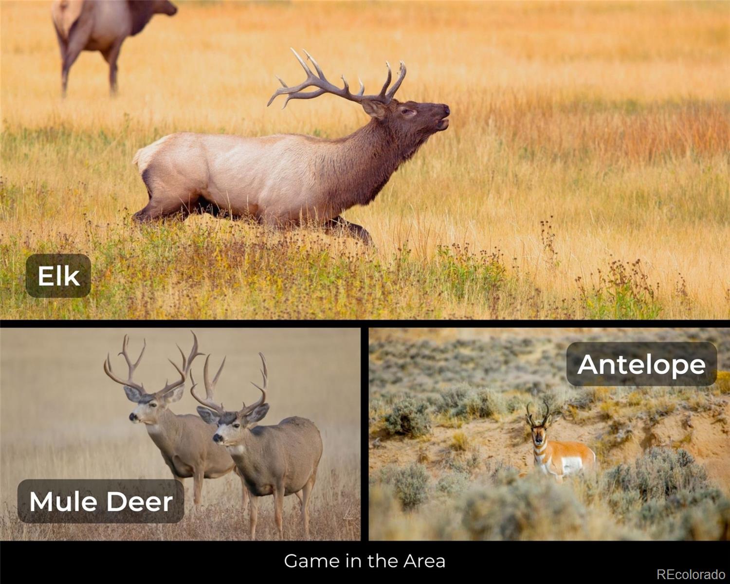 0 Co 159 San Luis, CO 81152 - Photo 21 of 22