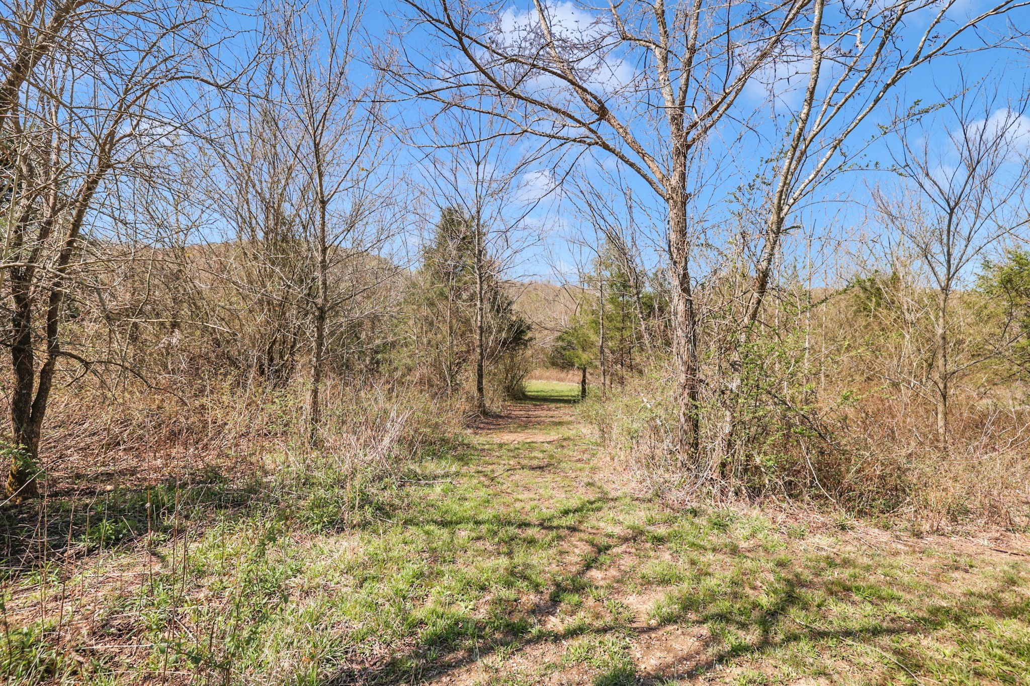 200 Charles Smith Road Lascassas, TN 37085 - Photo 55 of 62 a backyard of a house