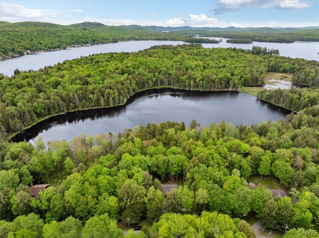 583 South Shore Road Webb, NY 13420 - Photo 8 of 48