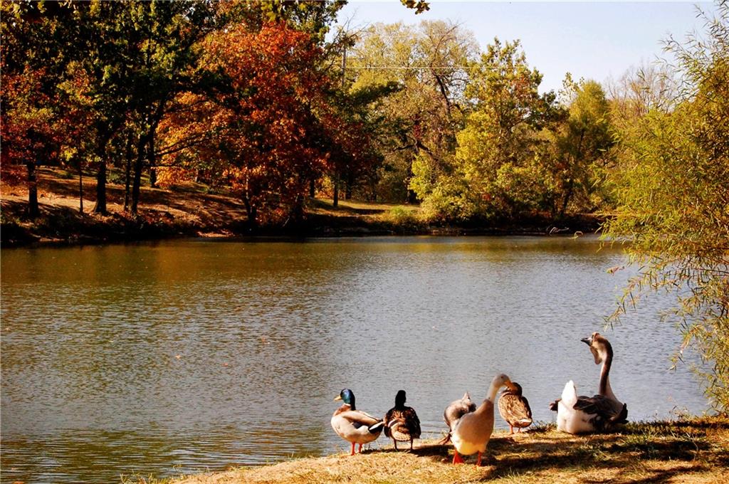 2096 Indian Road Fort Scott, KS 66701 - Photo 68 of 73