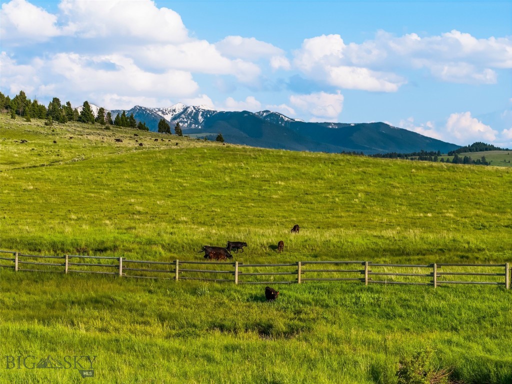1607 Shields River Road Wilsall, MT 59086 - Photo 32 of 42 Gallery Image 32