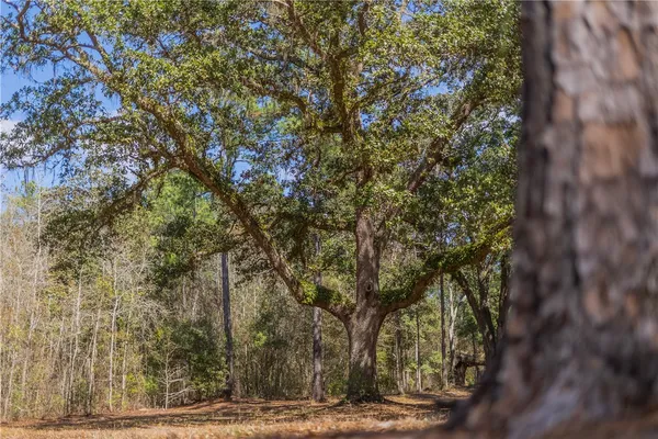 $959,900 | 1-12321 Highway 185 Street, St. George, GA 31562