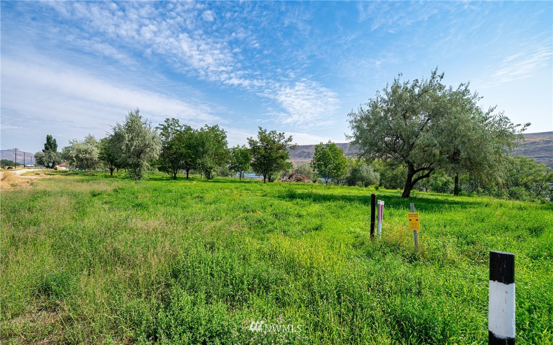 305 Monse River Road Brewster, WA 98812 - Photo 23 of 40 Gallery Image 23