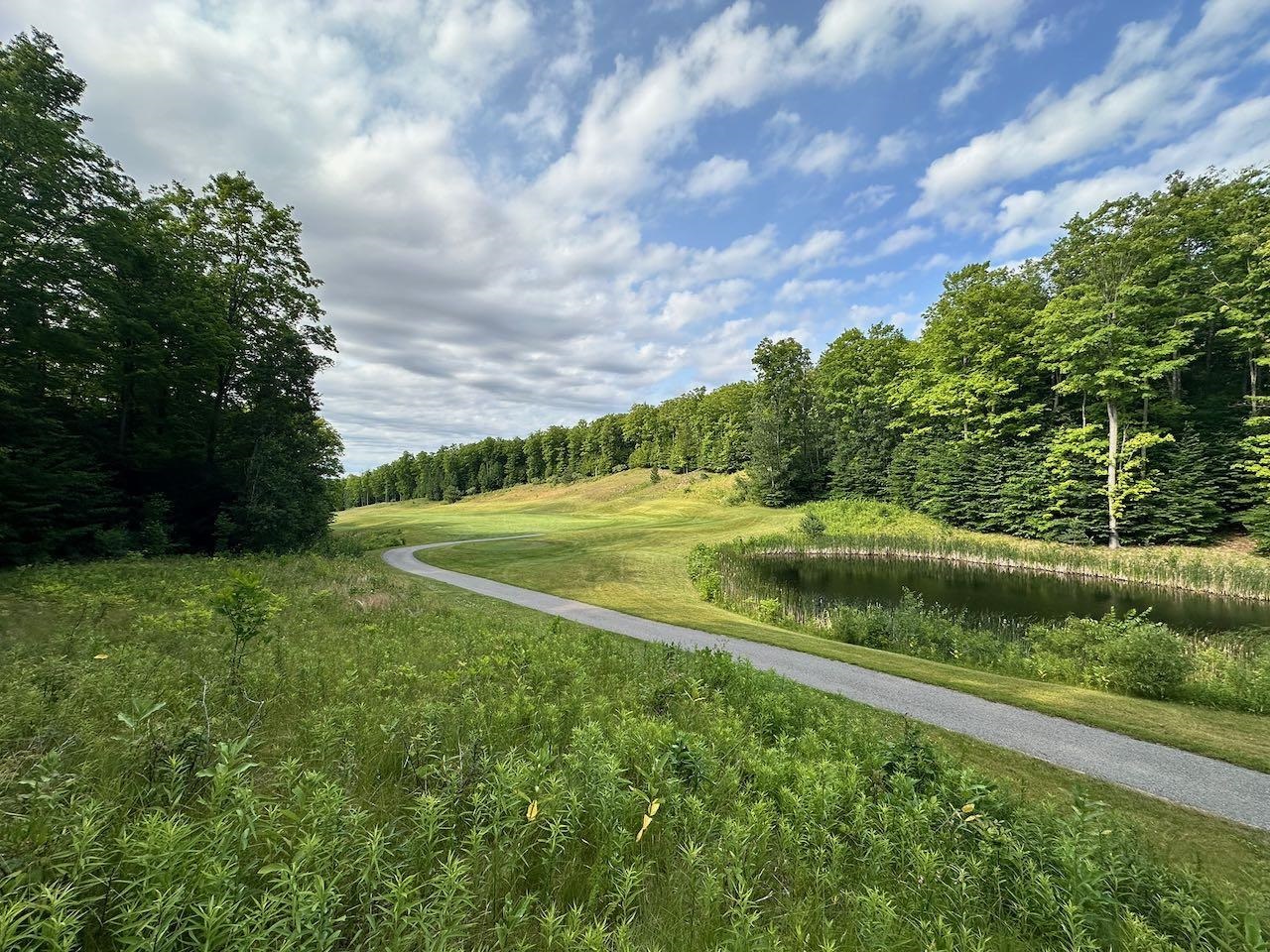 170 Raptor Run, Unit LOT: 170 Bellaire, MI 49615 - Photo 4 of 29