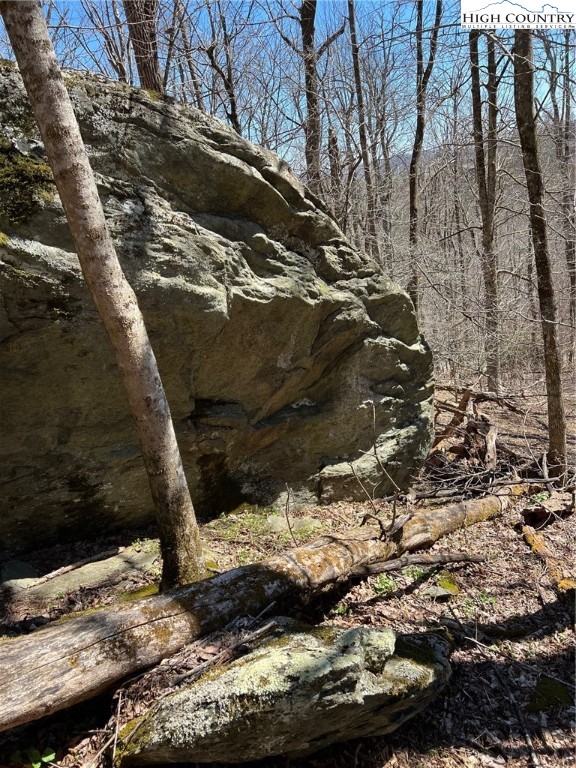 Tdb Nettles Ridge Road Banner Elk, NC 28604 - Photo 11 of 14