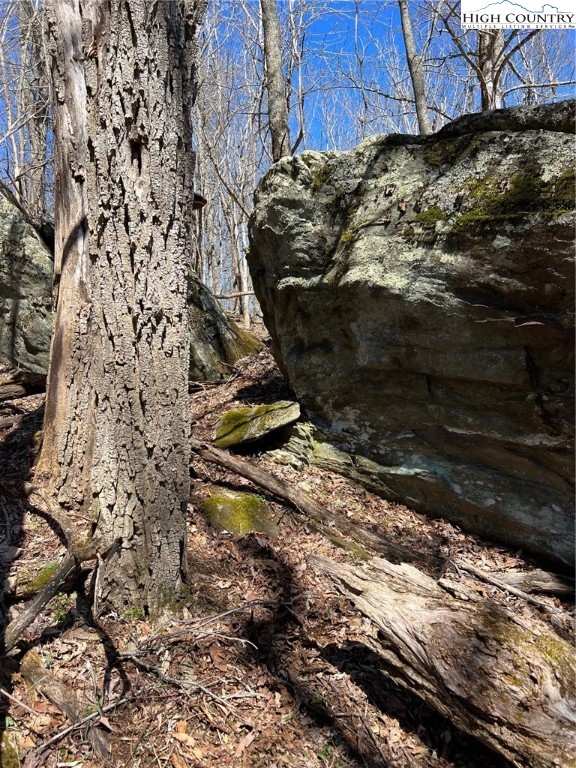 Tdb Nettles Ridge Road Banner Elk, NC 28604 - Photo 12 of 14 a view of a backyard