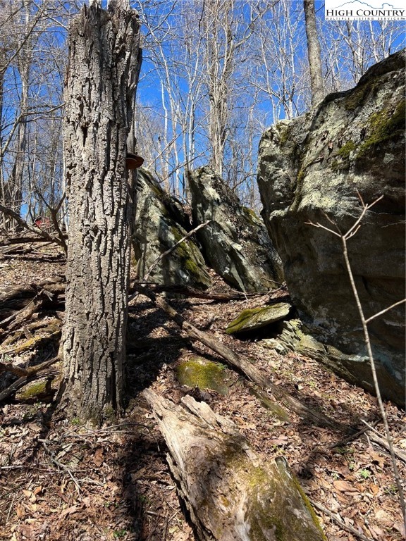 Tdb Nettles Ridge Road Banner Elk, NC 28604 - Photo 13 of 14 a backyard of a house