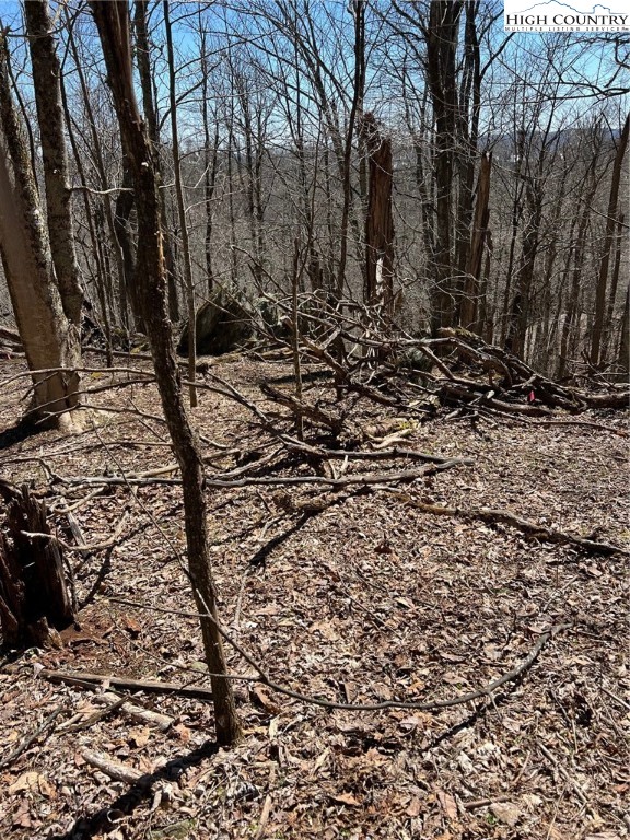 Tdb Nettles Ridge Road Banner Elk, NC 28604 - Photo 14 of 14 a view of a yard with trees