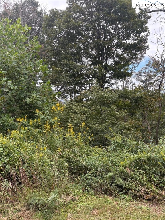 Tdb Nettles Ridge Road Banner Elk, NC 28604 - Photo 2 of 14 a view of a tree