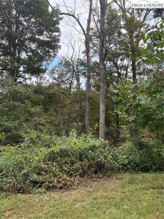Tdb Nettles Ridge Road Banner Elk, NC 28604 - Photo 3 of 14 a view of a yard with plants and large trees