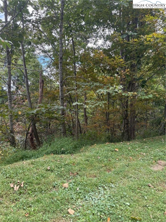 Tdb Nettles Ridge Road Banner Elk, NC 28604 - Photo 4 of 14 a view of outdoor space and yard