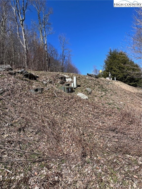 Tdb Nettles Ridge Road Banner Elk, NC 28604 - Photo 5 of 14 a view of a dry yard with trees