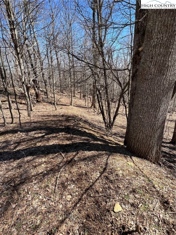 Tdb Nettles Ridge Road Banner Elk, NC 28604 - Photo 6 of 14 a view of a yard with trees