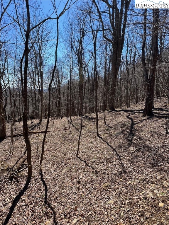 Tdb Nettles Ridge Road Banner Elk, NC 28604 - Photo 7 of 14 a view of a forest with trees