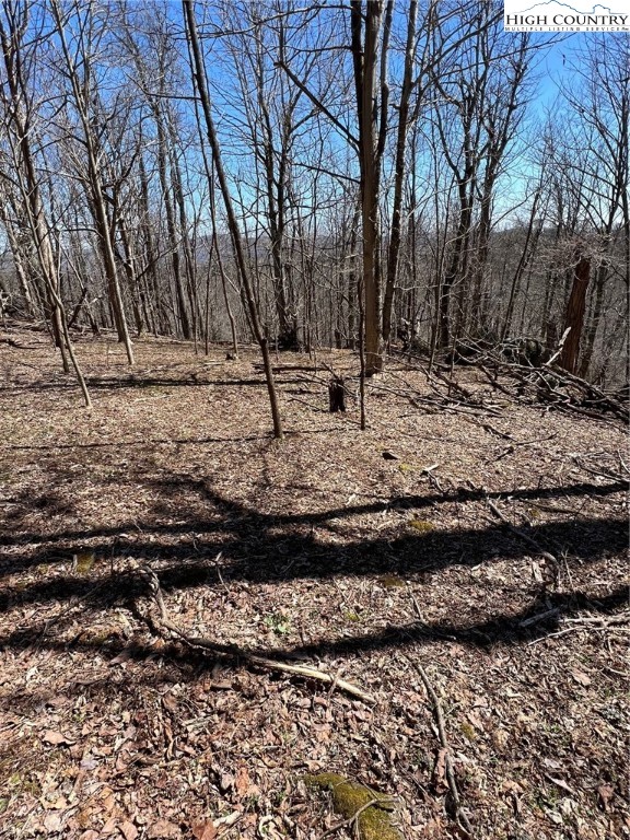 Tdb Nettles Ridge Road Banner Elk, NC 28604 - Photo 8 of 14 a view of a backyard of a house
