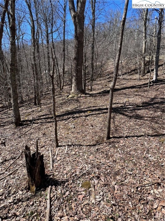 Tdb Nettles Ridge Road Banner Elk, NC 28604 - Photo 9 of 14 a view of a backyard of the house