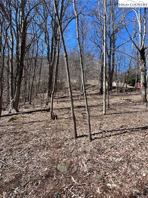Tdb Nettles Ridge Road Banner Elk, NC 28604 - Photo 10 of 14 a view of a yard with a tree