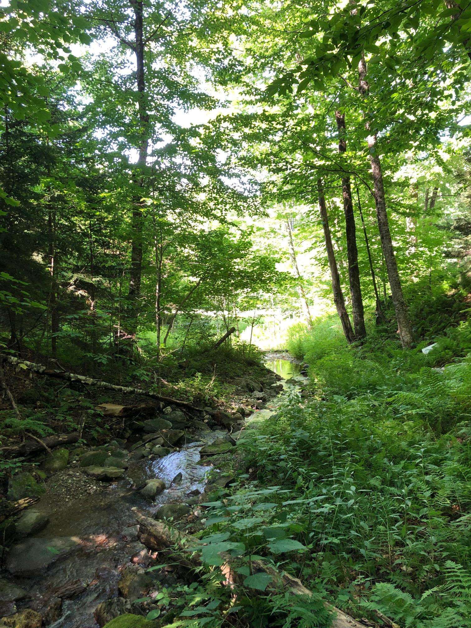4028 Ireland Road Starksboro, VT 05487 - Photo 8 of 16 Gallery Image 8