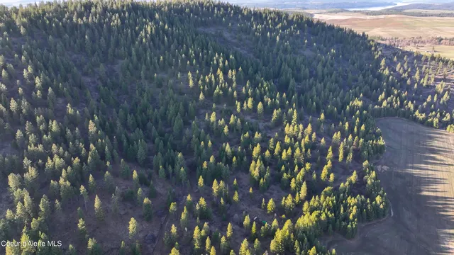 $165,000 | 15 Acres, Worley, ID 83876