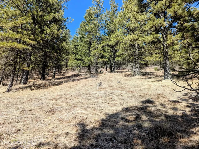 $165,000 | 15 Acres, Worley, ID 83876