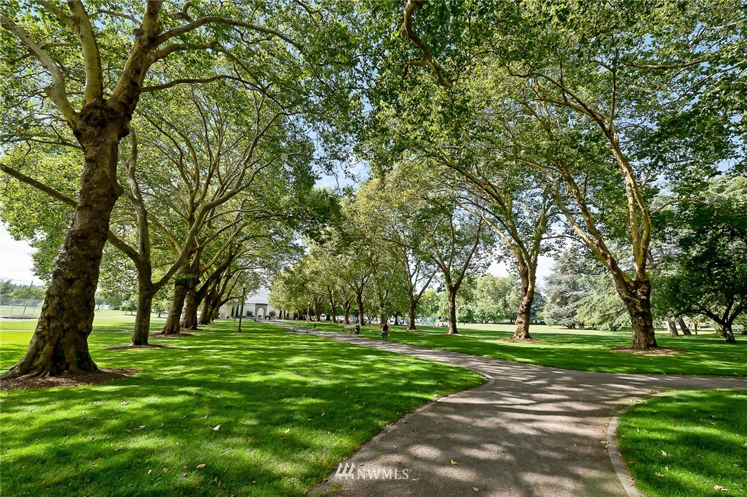 420 Northeast Maple Leaf Place, Unit B Seattle, WA 98115 - Photo 19 of 24 a huge green field with lots of trees