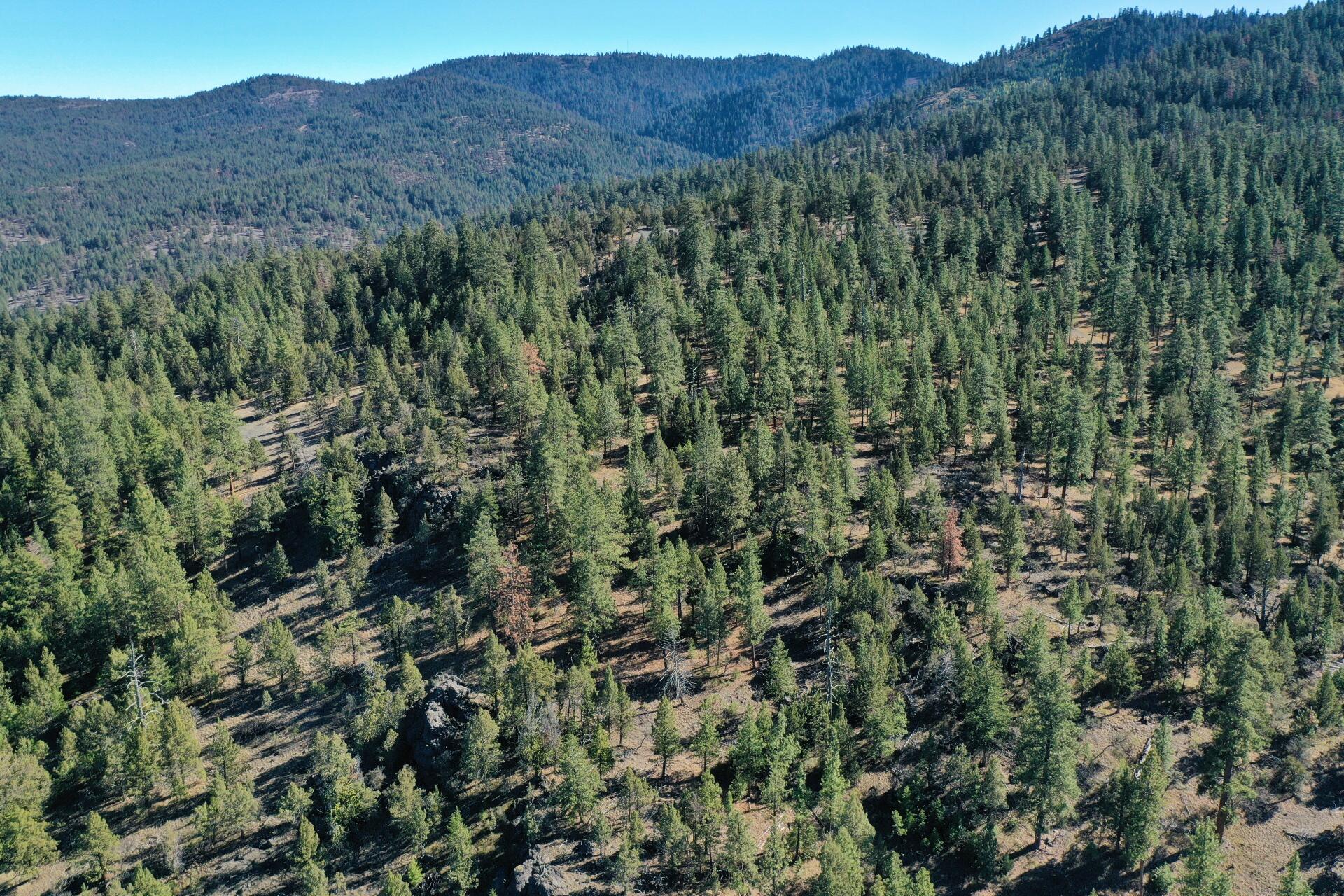 Nans Rock Rd Mount, Unit 3007 Mount Vernon, OR 97865 - Photo 16 of 16 DJI_0037