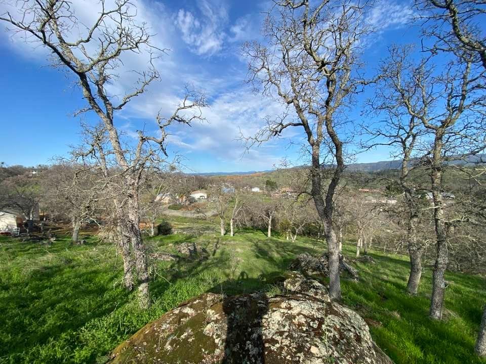 4241 Grisham Road Valley Springs, CA 95252 - Photo 3 of 22