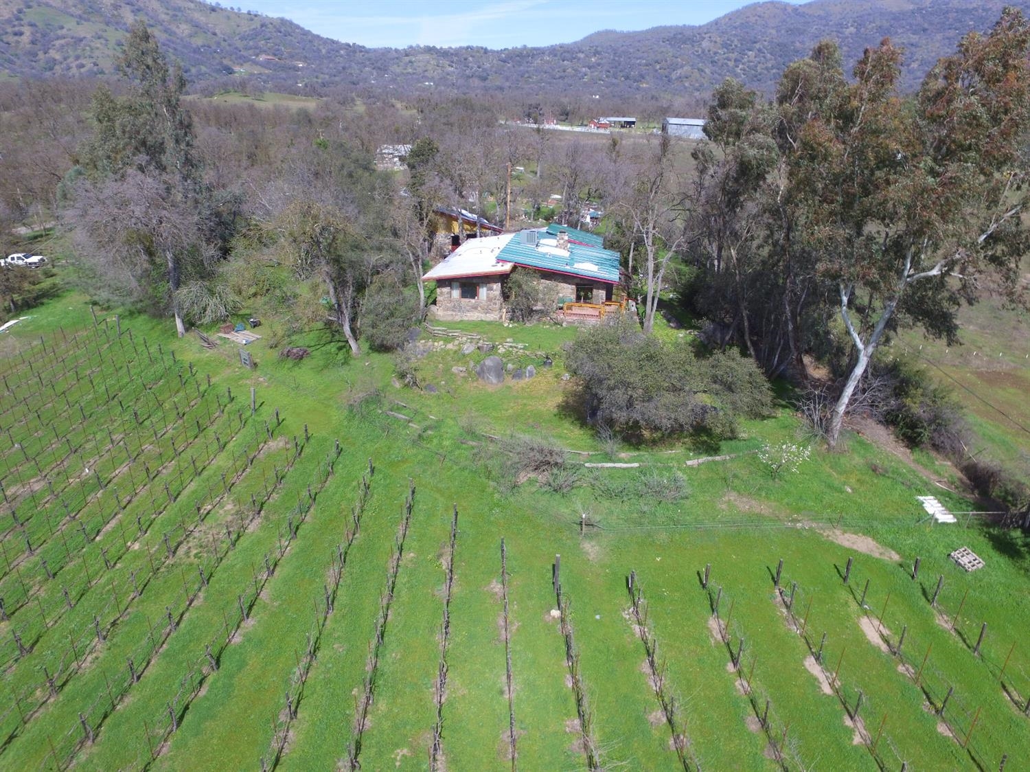 35791 Hopewell Road Squaw Valley, CA 93675 - Photo 8 of 10 Gallery Image 8