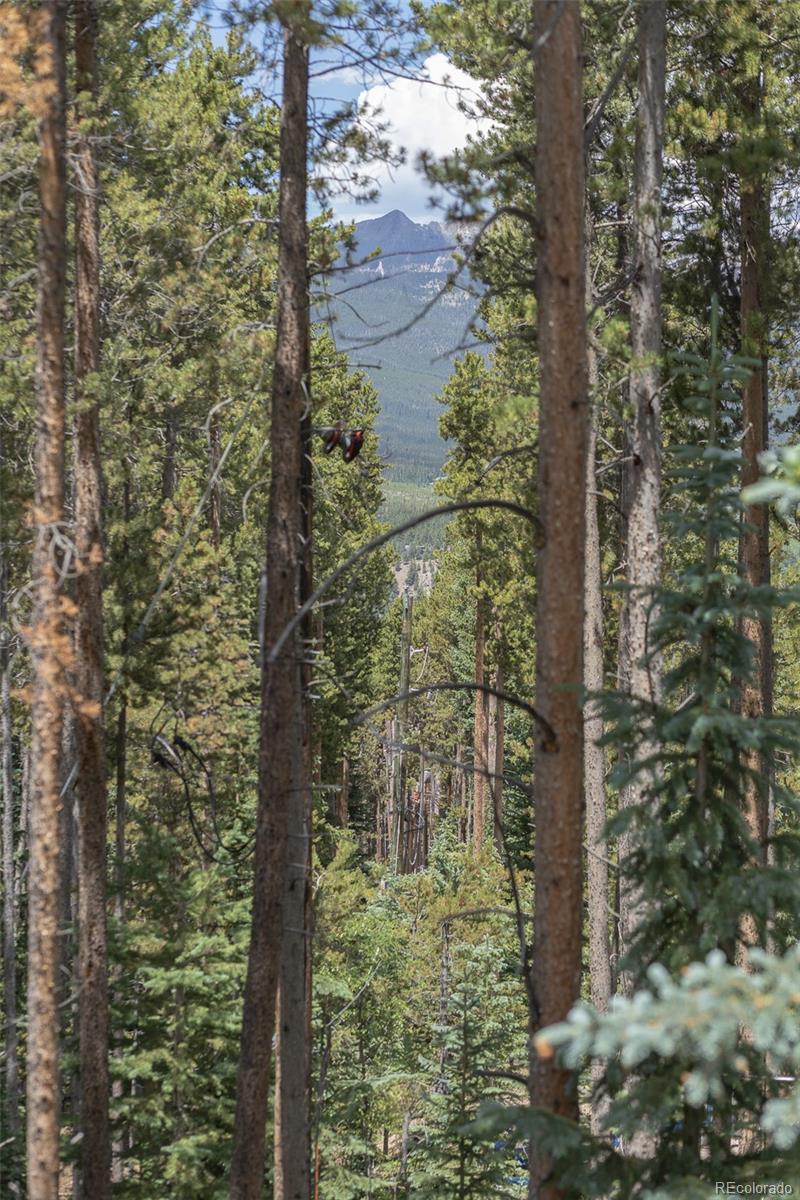 387 Moonstone Road Breckenridge, CO 80424 - Photo 47 of 47 Gallery Image 47