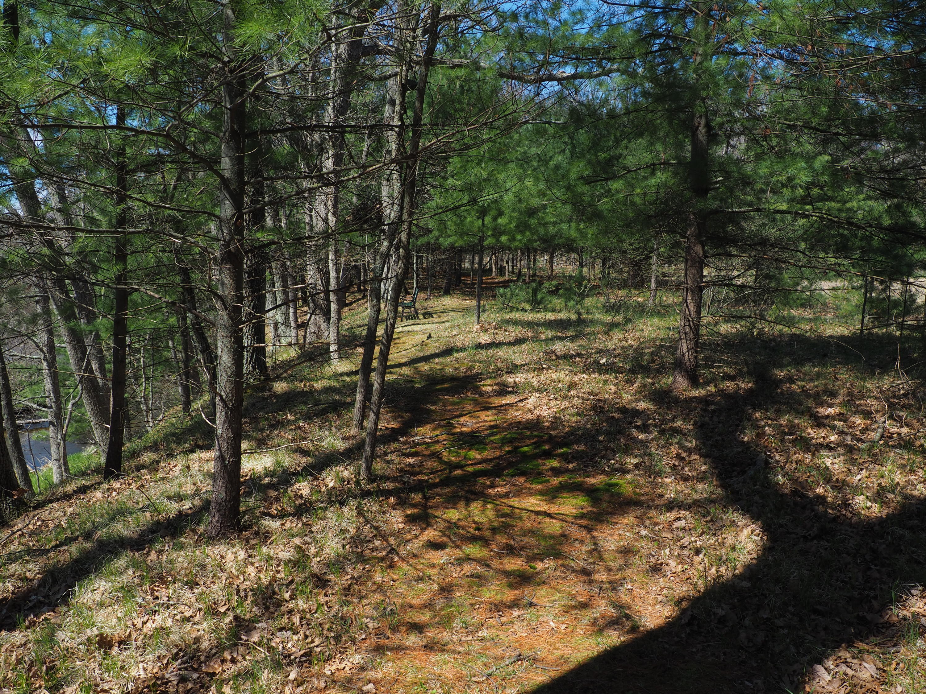 9149 North Bass Lake Road Irons, MI 49644 - Photo 101 of 139 P4290098